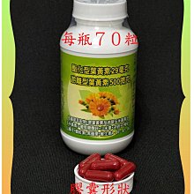 ７０粒專利金盞草萃取含酯化型葉黃素（２９毫克)+蝦紅素+玉米黃素+枸杞+山桑子+小米草+B1+鋅【雅儒商行】／免運費