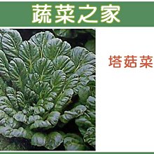 【蔬菜之家滿額免運00A39】大包裝.塔菇菜種子30克(日本進口蹋稞菜 、烏塌菜)※此商品運費請選宅配※