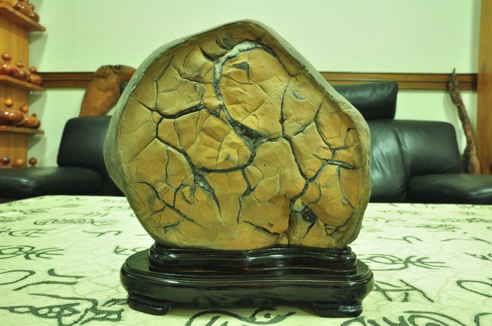 埔里   山採   黃龜甲石 保留原皮  二面花紋全開  極品雅石