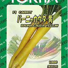 【野菜部屋~】I26 日本黃金胡蘿蔔種子 35 粒 , 相當特別的品種 , 每包15元 ~