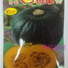 【野菜部屋~】K34 將軍栗子南瓜種子1顆 , 栗子南瓜 , 早生品種 , 每包15元~