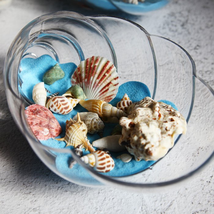 地中海家居裝飾擺件玻璃海螺瓶配天然海洋貝殼套件創意~定價