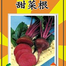 【野菜部屋~】I12 甜菜根種子3公克 , 好吃的生菜沙拉 , 每包15元~