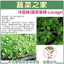 【蔬菜之家滿額免運】K15.洋當歸(圓葉當歸)種子80顆//葉深綠色大，而具芹菜香，莖中空。播種期為春秋兩季