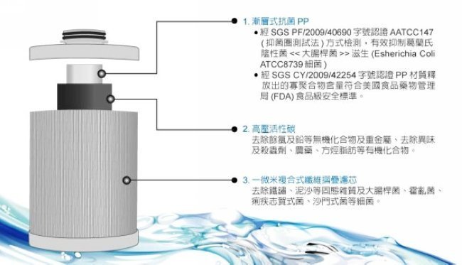 【NianYing淨水】愛惠浦全戶濾淨系統 EVB-AD2000  / TK250 水塔過濾淨水器濾心