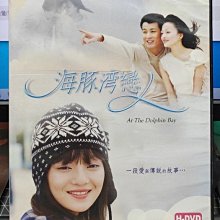 影音大批發-S189-正版DVD-台劇【海豚灣戀人 全28集5碟】-許紹洋 張韶涵 霍建華(直購價)