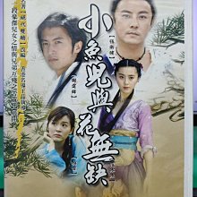 影音大批發-S46-017-正版DVD-大陸劇【小魚兒與花無缺／共10片40集】-謝霆鋒 范冰冰 張衛健 柏雪(直購價)