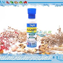 【魚店亂亂賣】API魚博士藻類清除劑118ml除藻劑(青苔.絲藻.黑毛藻)D164美國ALGAEFIX