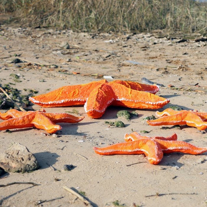 仿真海星雕塑 貝殼海螺裝飾海底世界擺設 海洋生物系列*特價正品促銷