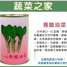 【蔬菜之家滿額免運】A65.青龍油菜種子800顆//日本進口，F1品種，易栽培，耐熱、耐濕，生長速度快而整齊，耐抽苔