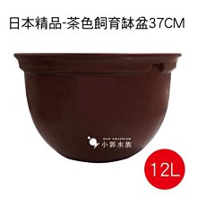 商品縮圖-2