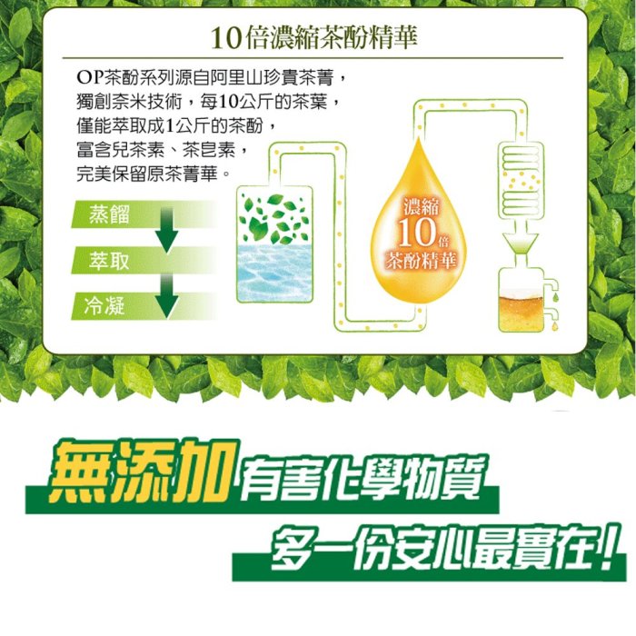 【OP】天然苦茶籽洗潔精 1000ml(好沖洗、不殘留) 洗潔精 洗碗精 溫和護手 安全無毒 不傷手 台灣製