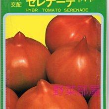 【野菜部屋~】L33 尖型蕃茄種子5粒 , 夏秋早生品種 , 著果率高 , 每包15元 ~