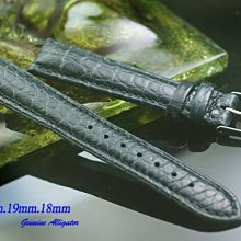 【時間探索】進口純正鱷魚皮高級錶帶藍綠色 ( .20mm.19mm.18mm)