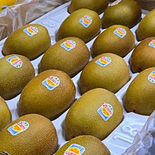 奇異果 紐西蘭 Zespri 陽光金圓頭奇異果超大18入※宏麟水果行※本島免運