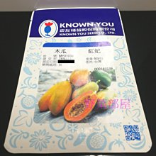 【野菜部屋~】R09 紅妃木瓜種子1粒 , 生長強健 , 早生豐產 , 每包13元~