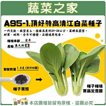 【蔬菜之家滿額免運】A95-1.頂好特高清江白菜種子 1.8克(約550顆)//葉橢長圓型。耐寒、耐熱，全年可播種。