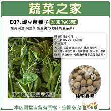 【蔬菜之家滿額免運】E07.豌豆苗種子25克(約65顆) 大豆苗.葉用碗豆.豌豆鬚.豌豆尖 快炒豆苗 熱炒豆苗