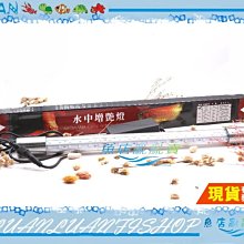 【魚店亂亂賣】ISTA水中燈增豔燈2尺LED燈15W紅龍/血鸚鵡/金魚/羅漢60cm台灣沉水燈伊士達EL-R15