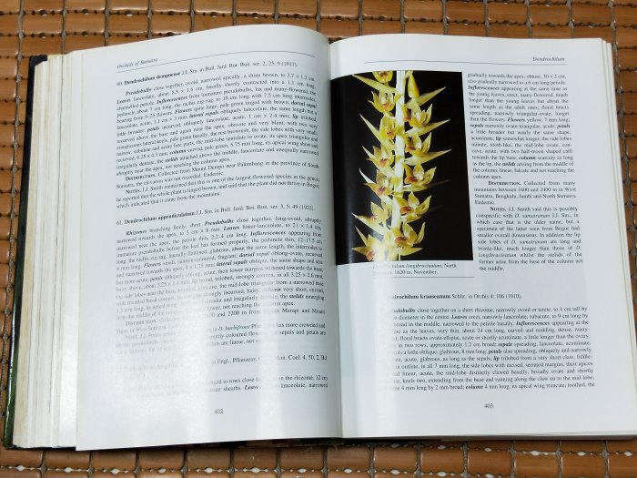 不二書店 Orchids of Sumatra / J.B. COMBER 蘭花專業書籍 精裝本