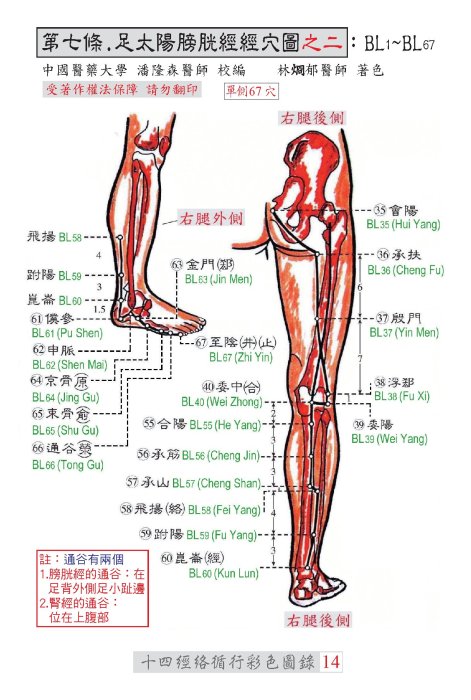 《十四經絡彩色循行圖錄》最新第四版 潘隆森醫師 校編
