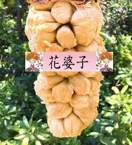 白蜜榴槤蜜/抗寒品種/水果苗/榴槤蜜品種/嫁接苗