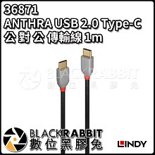 數位黑膠兔【 林帝 36871 ANTHRA USB 2.0 Type-C 公 對 公 傳輸線 1m 】 鍍金接頭