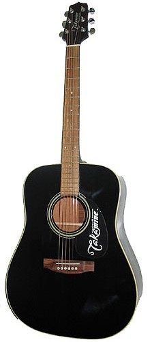 【金聲樂器】日本TAKAMINE D-21C  D-51C 民謠吉他 (贈送超優質6種好康伴手禮！)