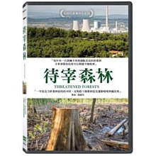 合友唱片 待宰森林 DVD Threatened Forests