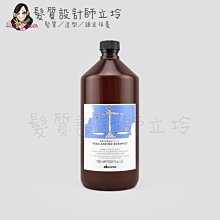 立坽『頭皮調理洗髮精』海泰公司貨 Davines特芬莉 新自然生機 平衡控油洗髮露1000ml IS03