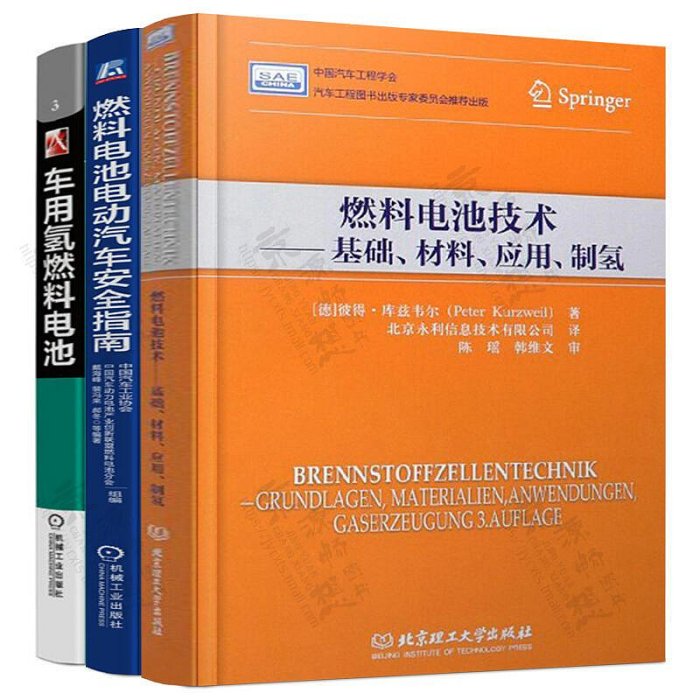 瀚海書城 正版書籍燃料電池電動汽車安全指南燃料電池技術基礎材料應用制氫車用氫燃料電池FCEV安全風險及防范措施 新能源汽