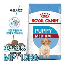 🔥現貨⭐寵物王子⭐ 皇家 AM32 / MP 中型幼犬 15KG / 15公斤 中型犬 犬糧