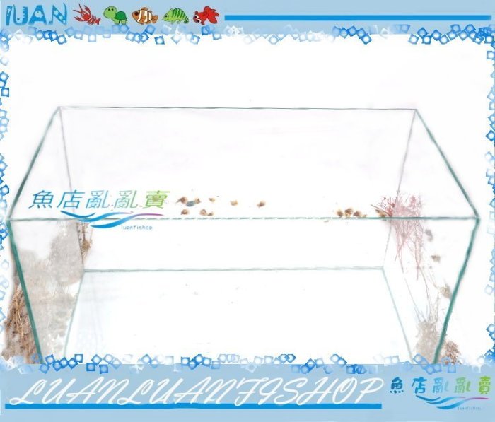 【~魚店亂亂賣~】全新台灣Mr.Aqua水族先生2尺(60× 30× 36cm)高透明度開放缸二尺玻璃魚缸(台製)