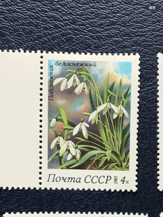 前蘇聯花卉郵票4枚全。5729