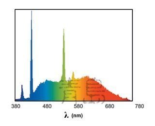 五1中3新0↓↓C。。。青島水族。。。S6964德國Sera喜瑞--藍燈管==30W