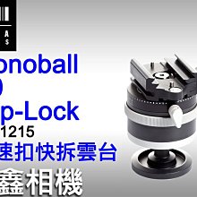 ＠佳鑫相機＠（預訂）瑞士ARCA SWISS Monoball P0 Flip-Lock快扣式快拆雲台801215公司貨