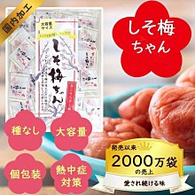 Ariel Wish日本超好吃蜜餞梅子肉干梅過年新年假日必備點心零食酸酸甜甜好唰嘴家庭包大包裝270g獨立包裝-現貨