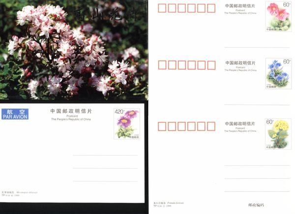 大陸明信片---高山花卉---共 4 張--航空風光郵資明信片--TP9--動植物部分
