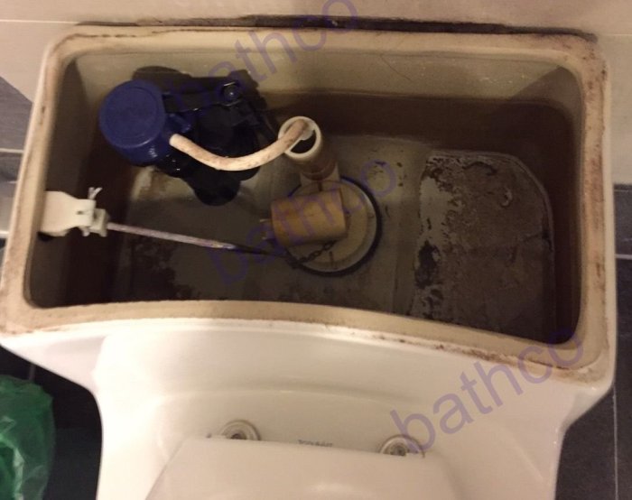 衛浴王 單體馬桶 低水箱 矮水箱 杯蓋式 排水器 落水器 DURAVIT LAUFEN 同規格可參考 水箱另件 水箱零件