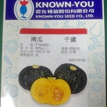 【野菜部屋~限量種子】千歲南瓜種子60顆 ,每包250元 ,肉質粉且甜美 ,果重1.9公斤左右 ~