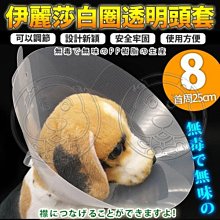 【🐱🐶培菓寵物48H出貨🐰🐹】dyy》伊麗莎白圈透明頭套8號25cm 特價69元(蝦)