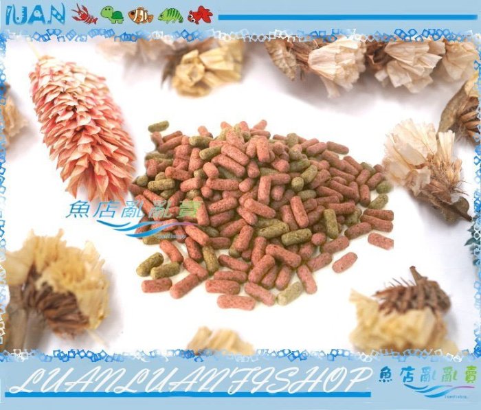 【魚店亂亂賣】AZOO小烏龜飼料(兩棲爬蟲用)900ml獨家幼龜專用(水龜飼料)台灣邰港9合1