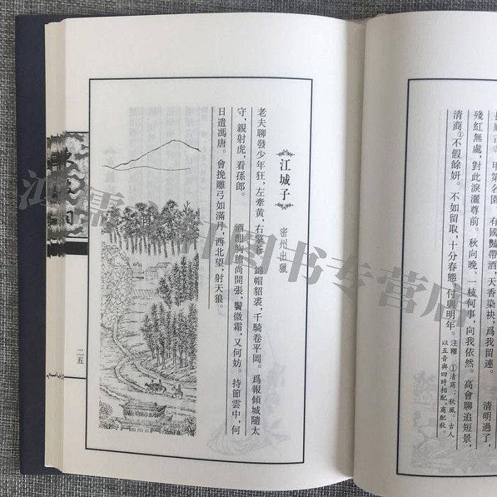 東坡詞選集經典國學讀本精裝蘇東坡傳人物傳記書籍散文集 文學名家經典人物中國傳記蘇軾廣陵書社繁體豎版書蘇軾傳