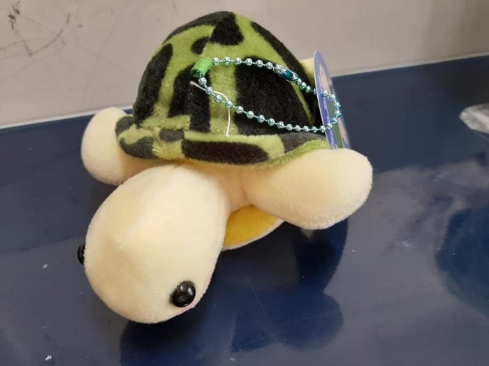 小海龜娃娃 可脫殼式 小烏龜 小海龜 海龜 烏龜 娃娃吊飾 綠蠵龜 小琉球 贈品高雄可自取