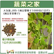 【蔬菜之家滿額免運】大包裝J05-1.豌豆嬰種子1公斤(約5500顆) (豌豆芽菜種子)(賣場另有其他芽菜種子) ※不適用郵寄