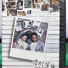 影音大批發-S32-034-正版DVD-韓劇【告別單身／共6片16集】-千正明 李在龍 尹素怡(直購價)