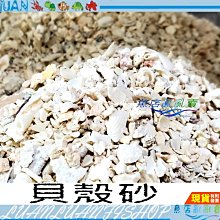 【魚店亂亂賣】天然貝殼沙2~6mm散裝4.5kg貝殼砂珊瑚骨海貝砂/海貝石/珊瑚砂/濾材防酸化/鈣石/龍魚缸等提升PH