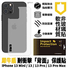 犀牛盾 耐衝擊 防刮 疏油疏水 防指紋 機身 背面 背貼 保護貼 iPhone 13 Pro Max mini