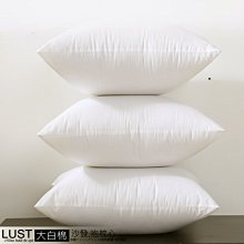 【LUST】 枕心 抱枕心 現貨 多種尺寸/沙發靠墊/台灣製造 (超商、取貨限數量)