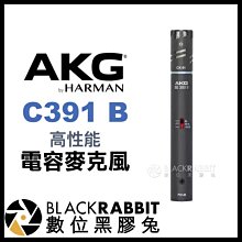 數位黑膠兔【 AKG C391 B 高性能 電容麥克風 】 收音 錄音 心形 指向性 幻象電源 XLR 降噪 採訪 錄製